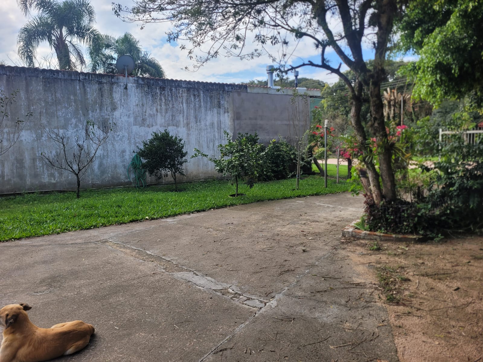 Terreno de esquina proximo a Praia