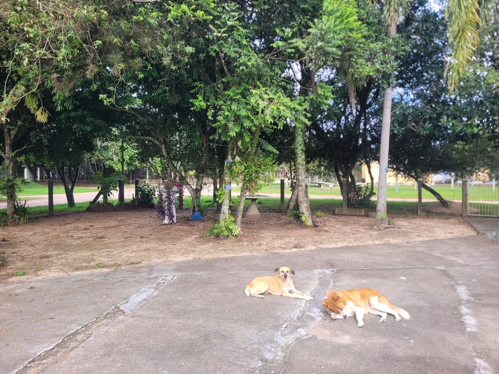 Terreno de esquina proximo a Praia