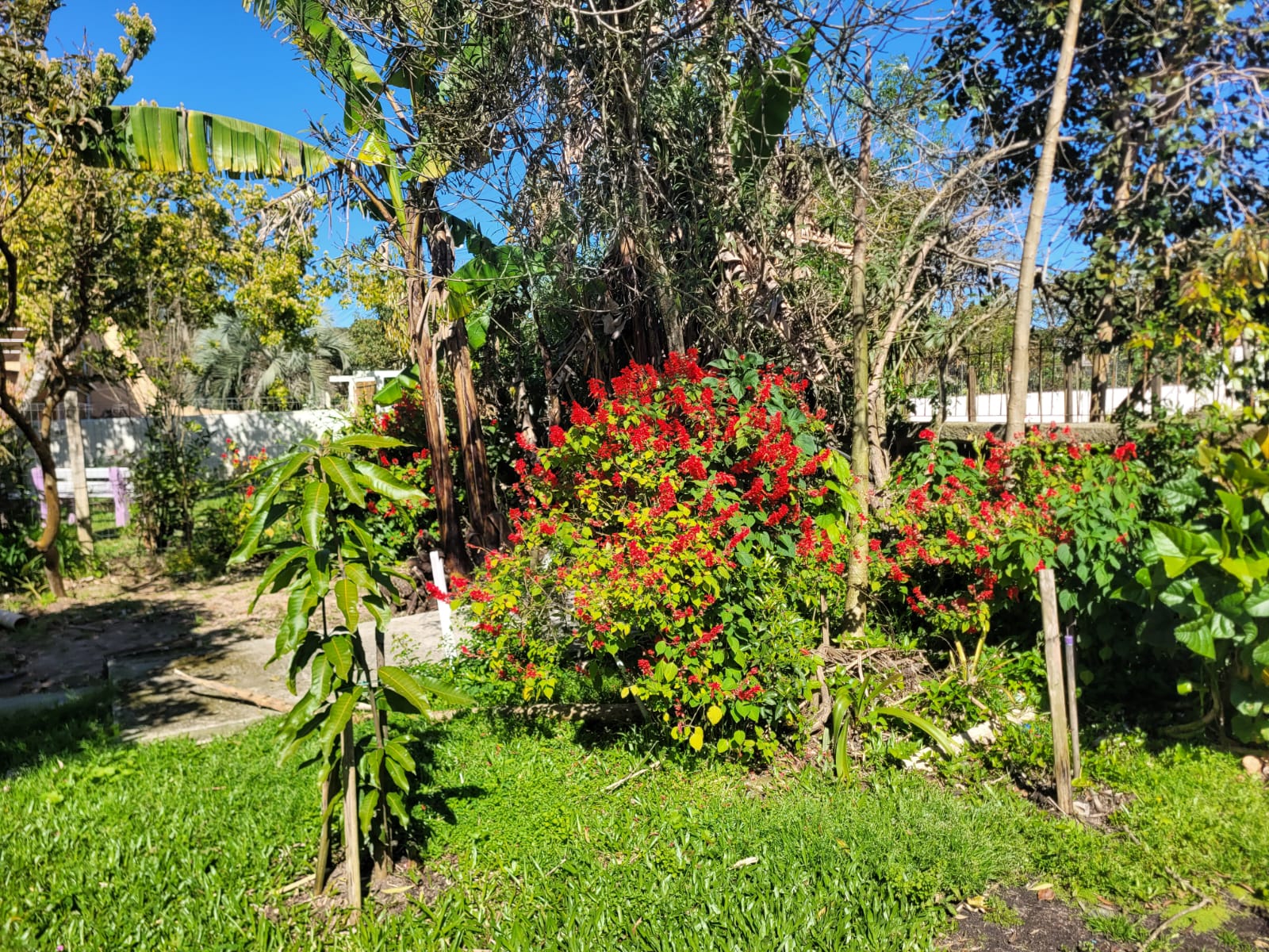 CASA NA PRAIA DA PINVEST