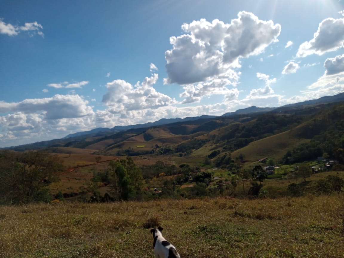 Terreno Rural - Venda, Cedro , Cunha, SP