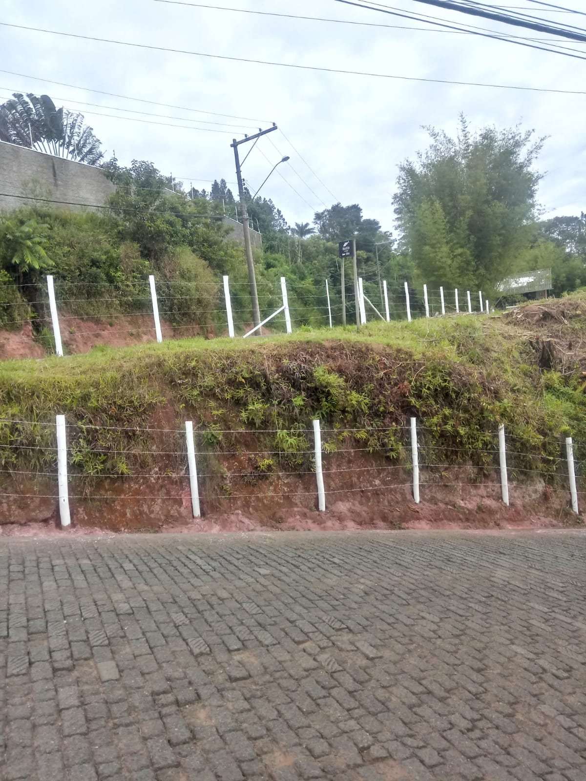 Terreno 