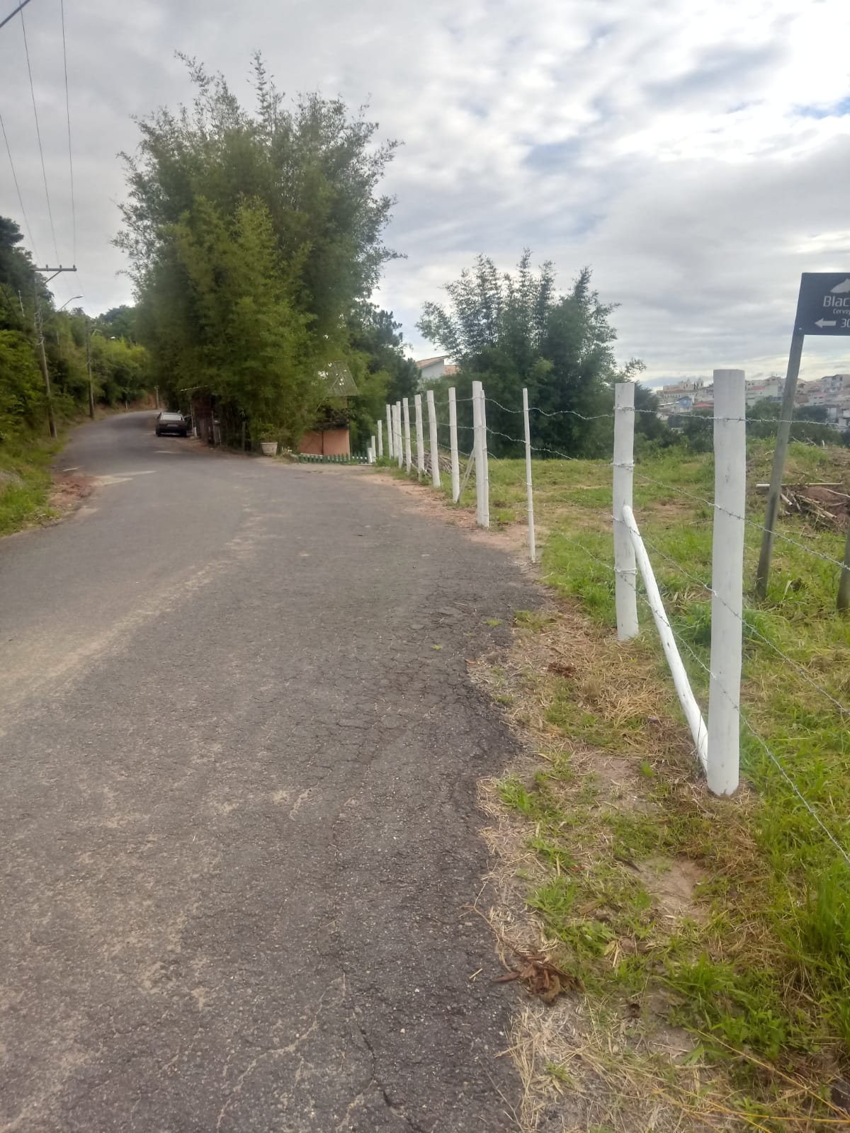 Terreno 