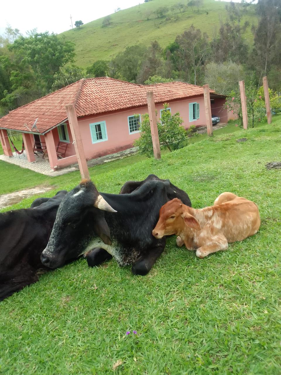 Chácara Roça Grande