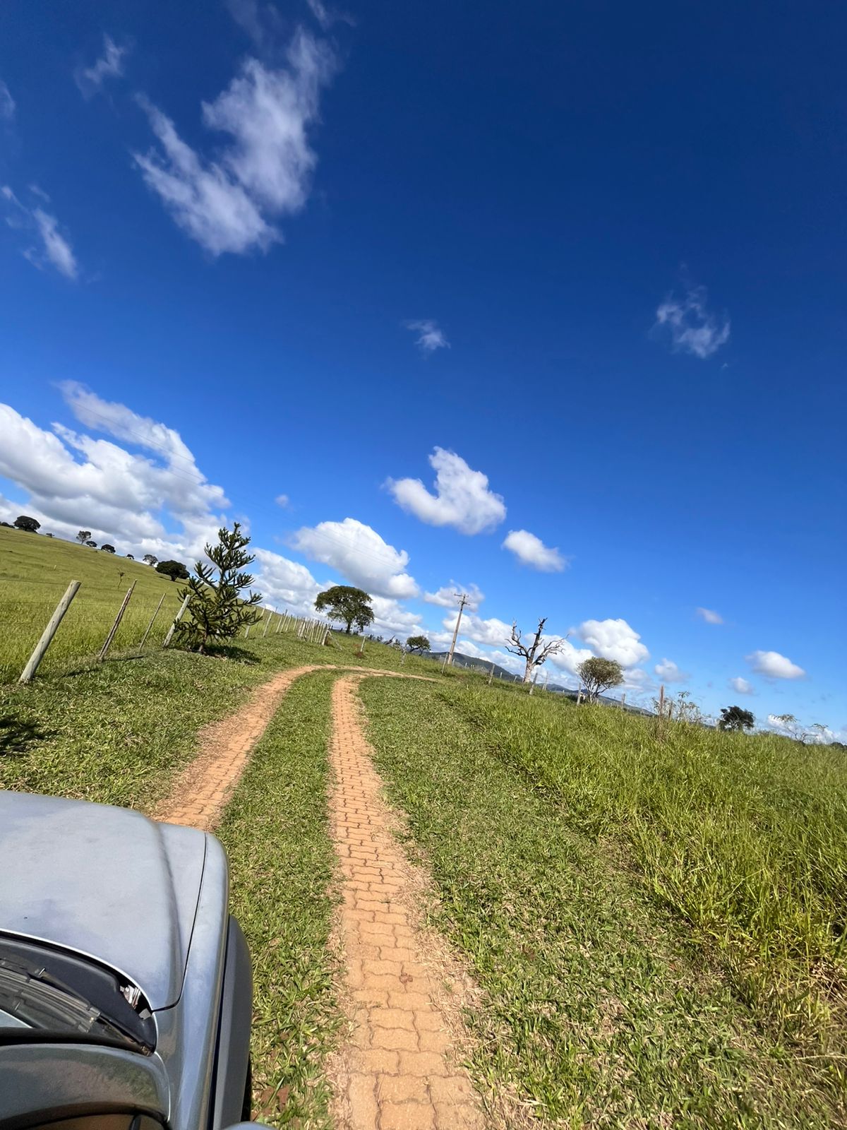 VENDE-SE SITIO EM CUNHA-SP  