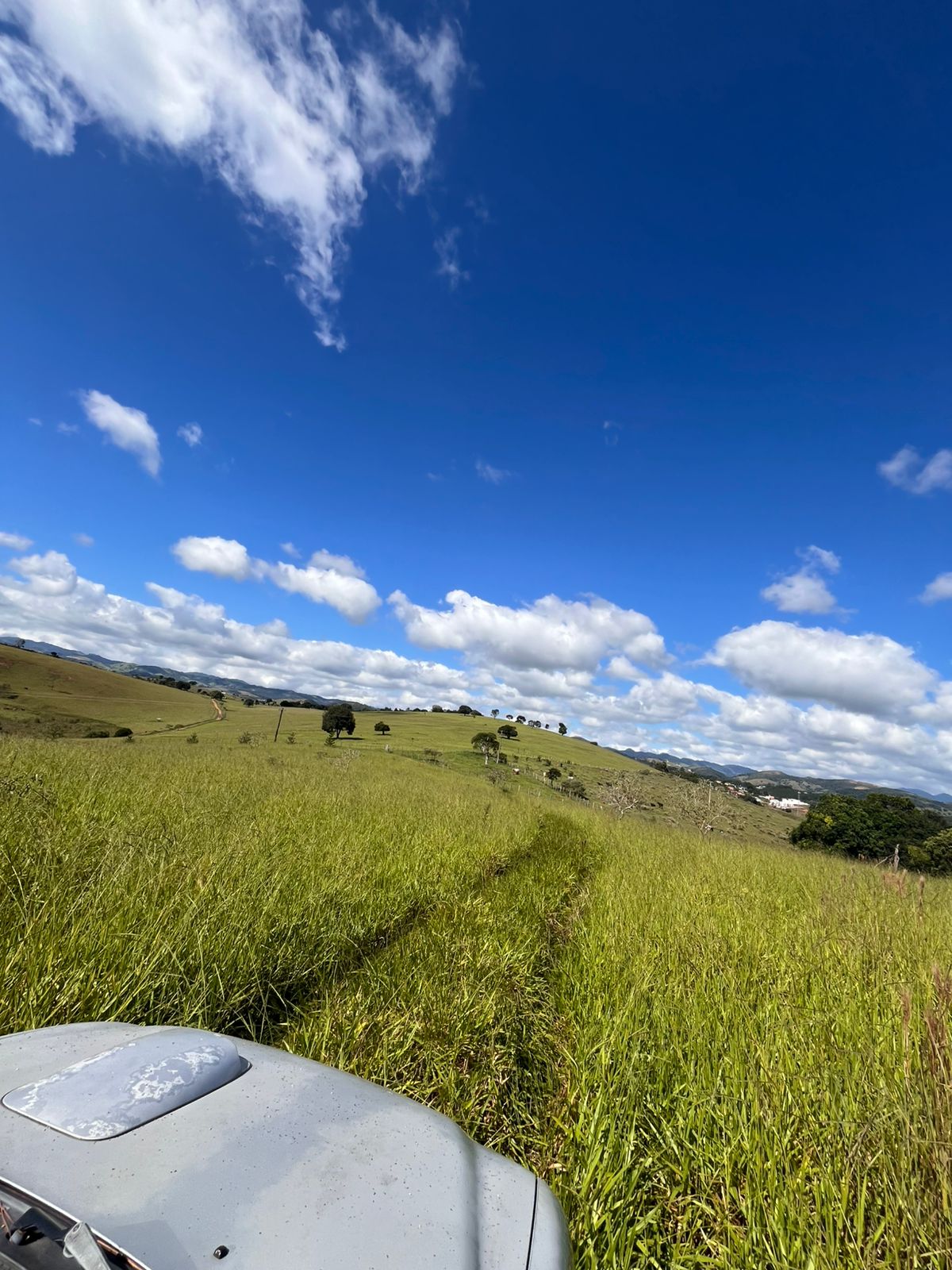 VENDE-SE SITIO EM CUNHA-SP  