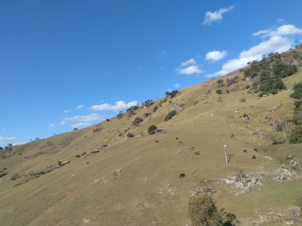 Lote - Venda, Jericó, Cunha, SP