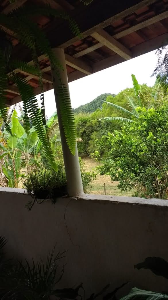 Sitio a venda