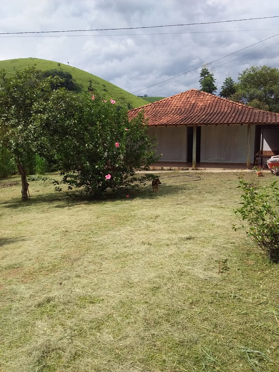 Casa para Alugar