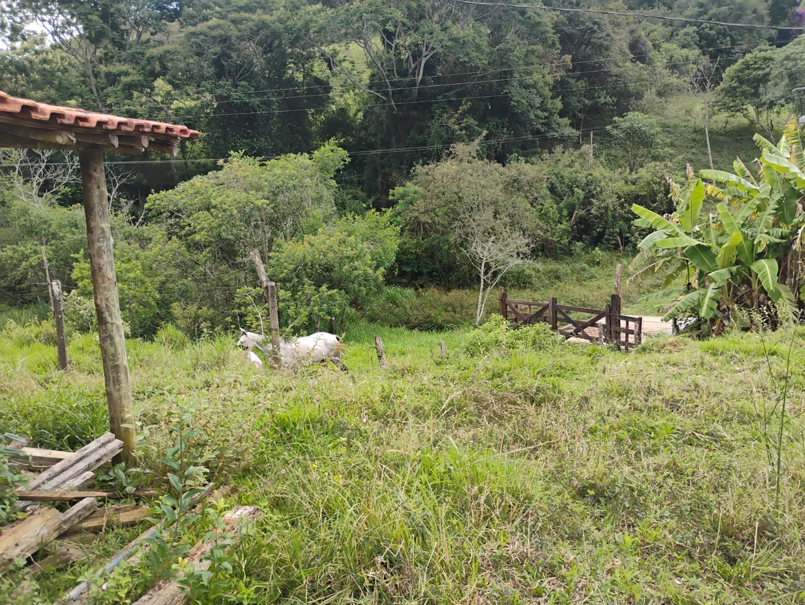Ótima Casa no Sertãozinho em Cunha 