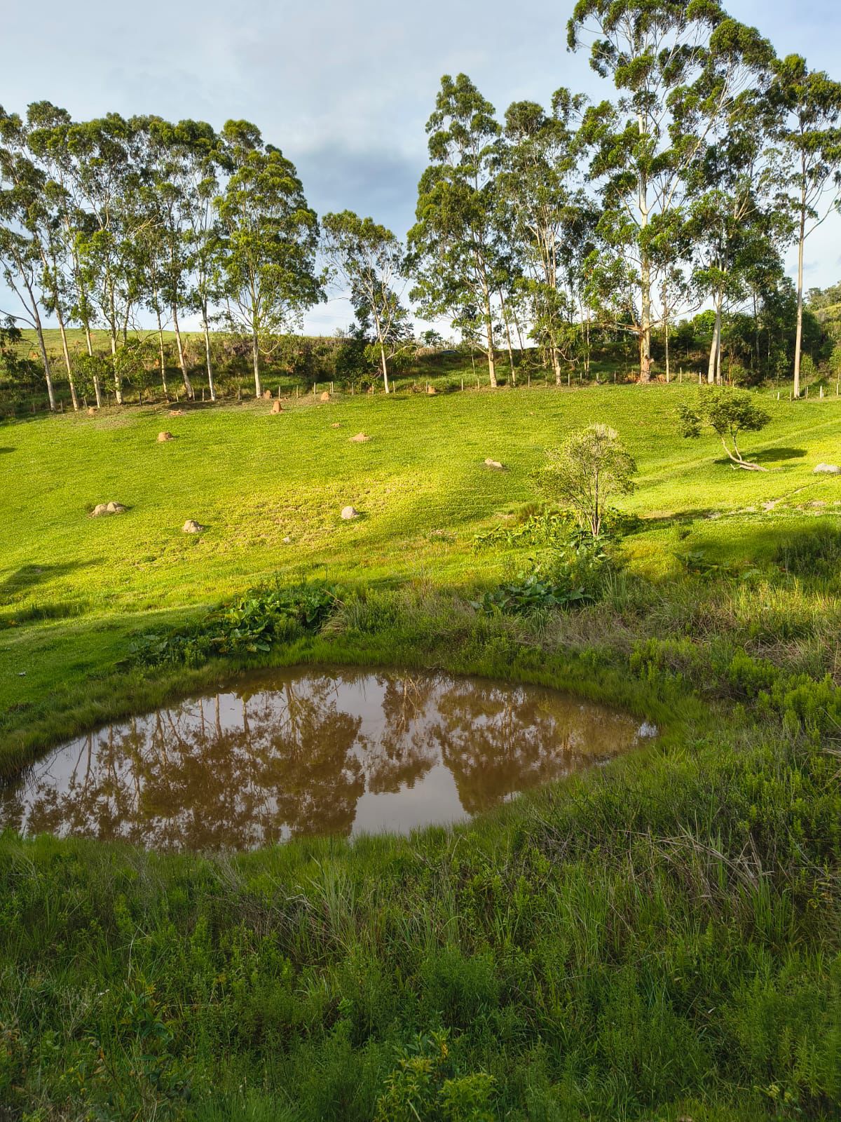 Bem localizado Terreno Rural a venda em Cunha 