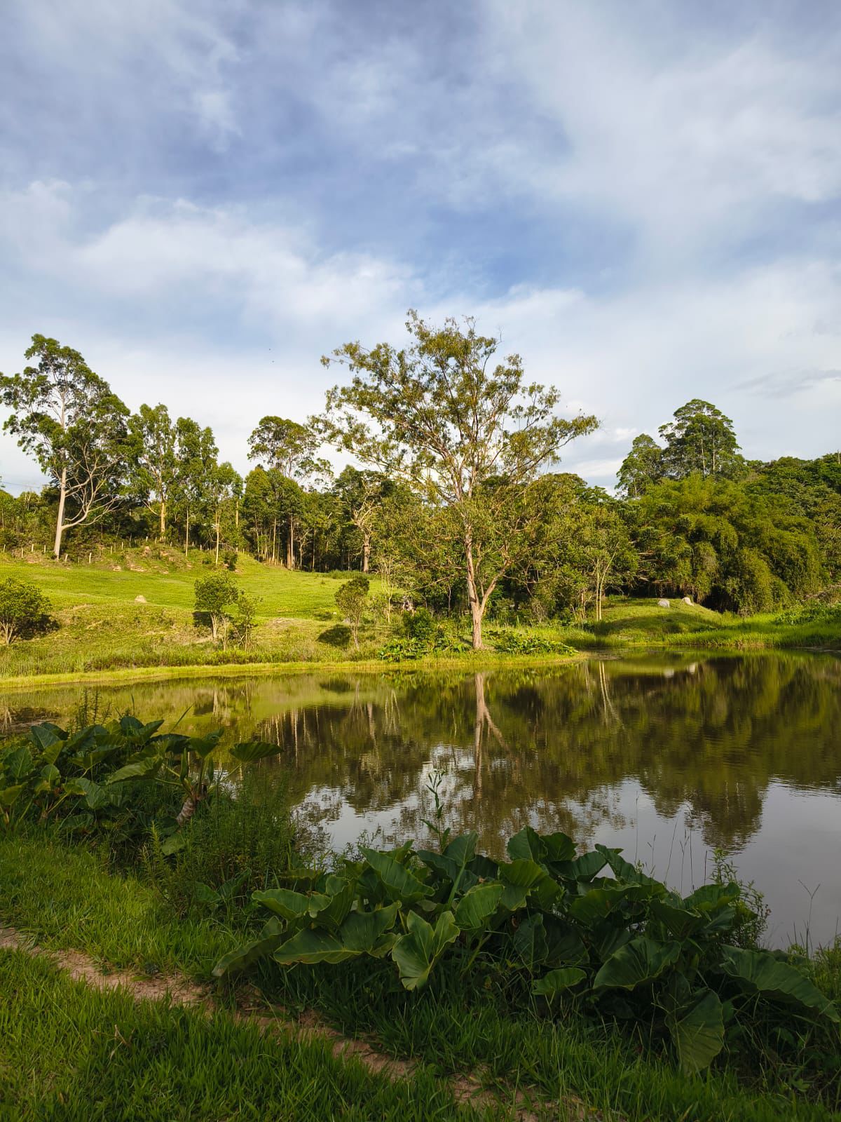 Terreno Rural - Venda