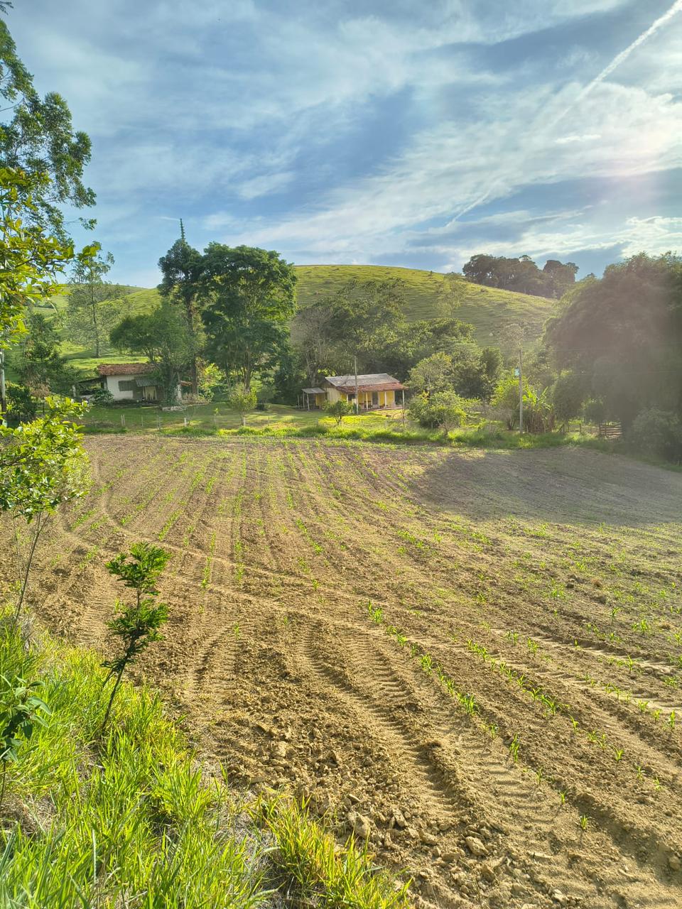 Bem localizado Terreno Rural a venda em Cunha 
