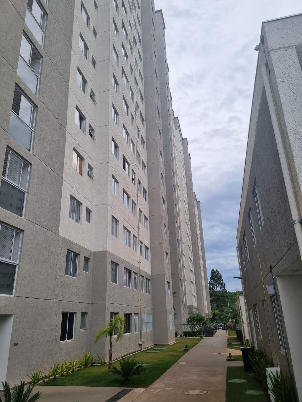 Apartamento - Venda, Usina Piratininga, São Paulo, SP