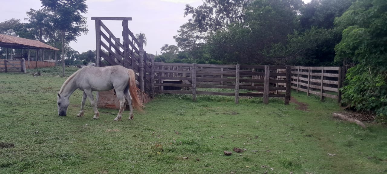 SITIO A VENDA  A BEIRA DA BR 070