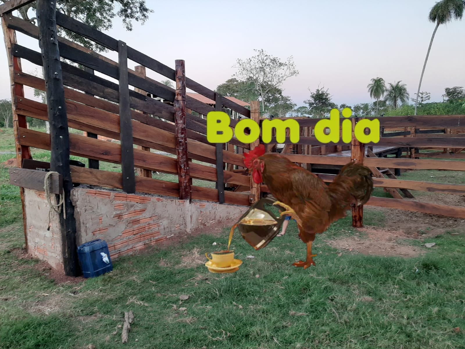 SITIO A VENDA  A BEIRA DA BR 070