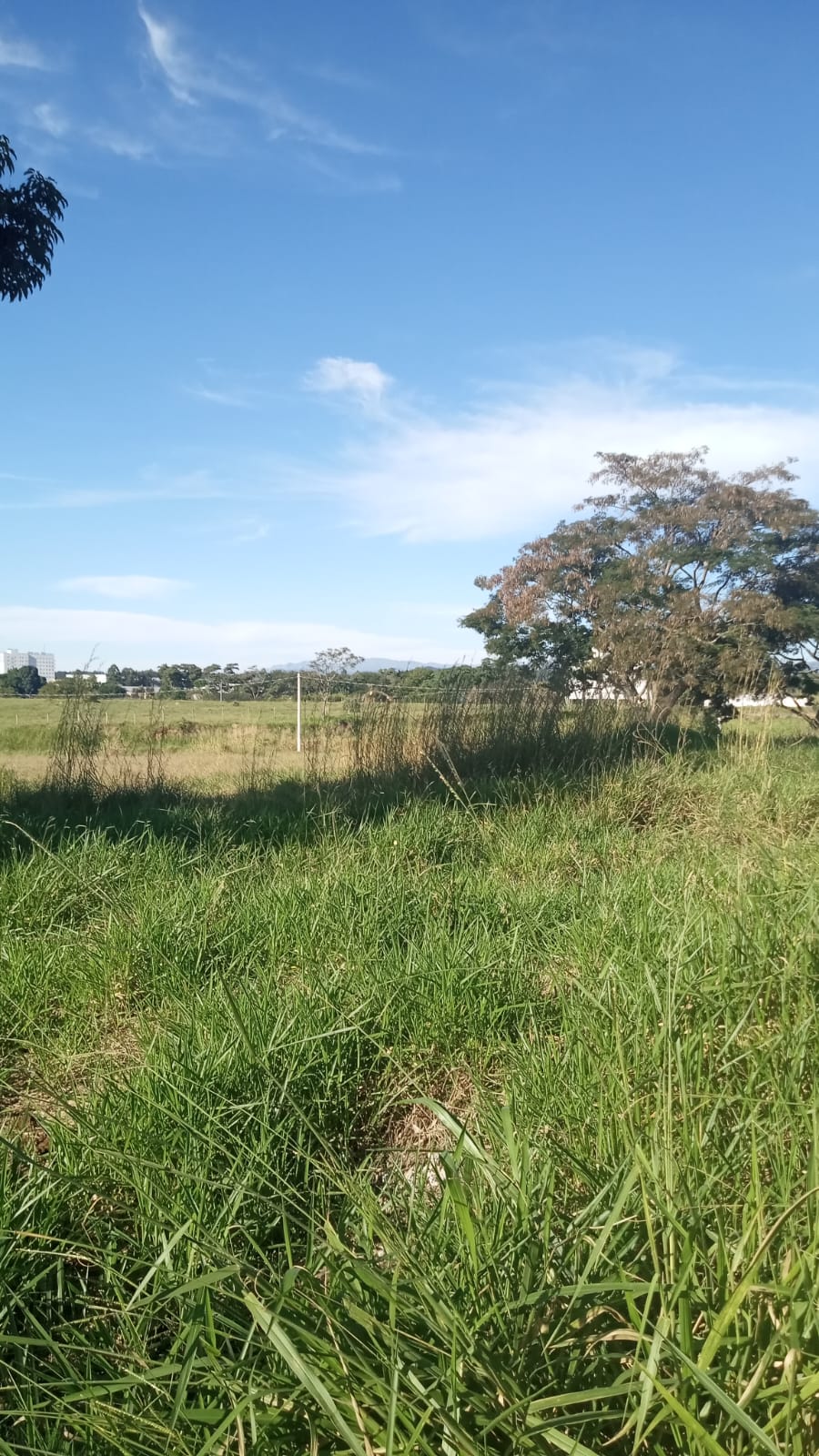 Bem localizado Terreno no PARQUE MONDESIR em LORENA SP