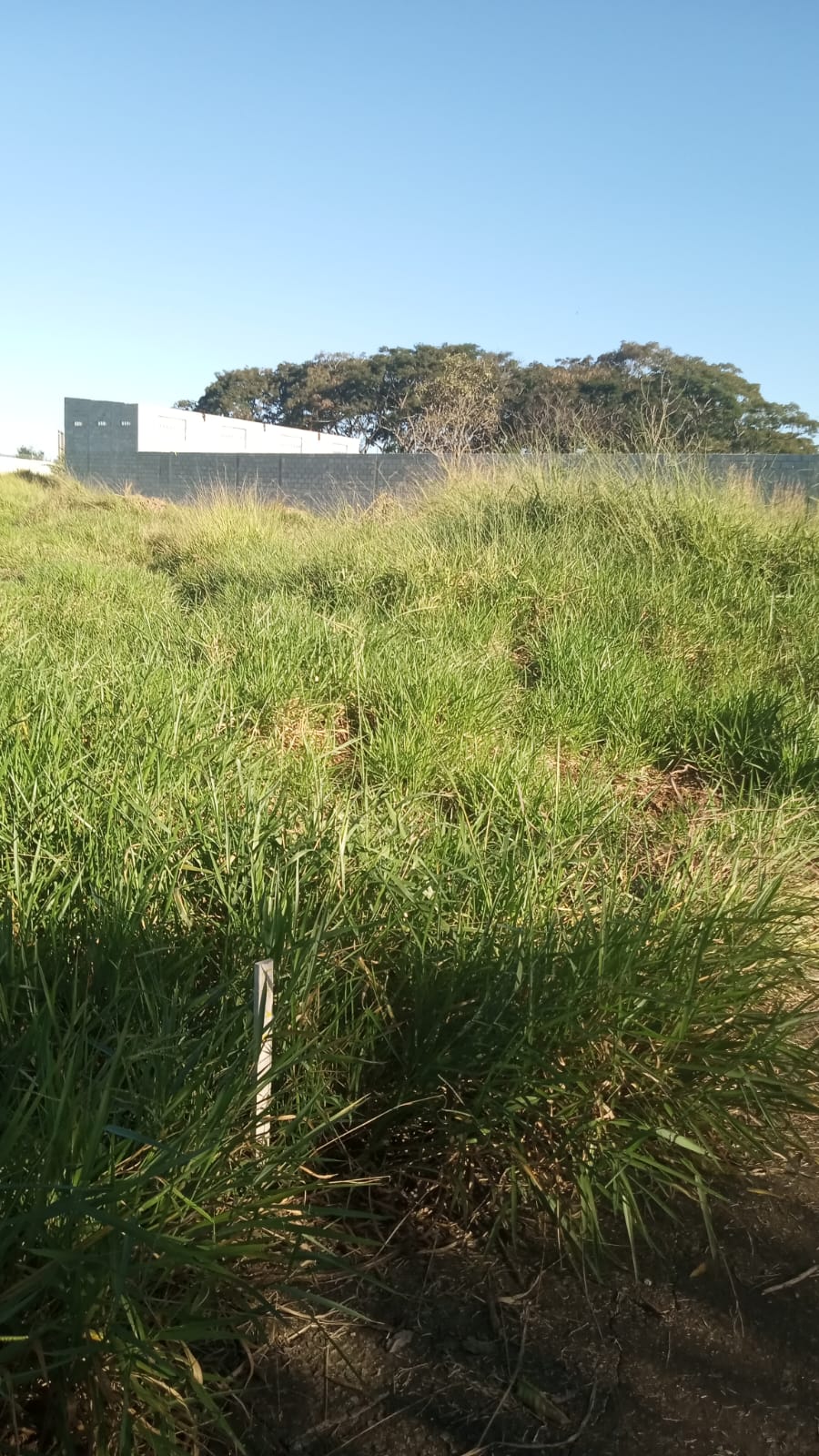 Bem localizado Terreno no PARQUE MONDESIR em LORENA SP
