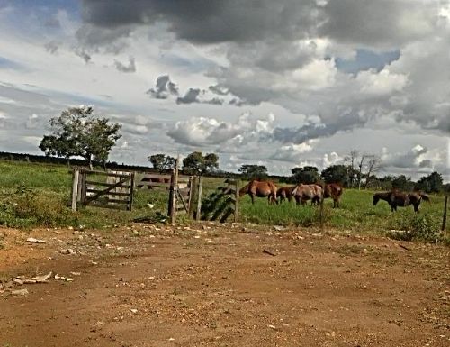 Chácara - Venda, Zona Rural, Lucas Do Rio Verde, MT