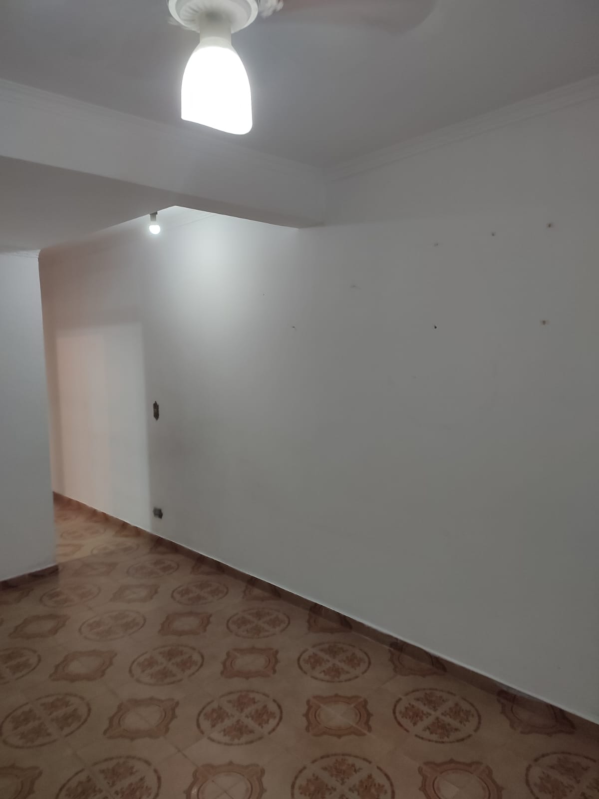 Sobrado Espaçoso em Pirituba: 3 Dorms, Edícula e o Quintal dos Seus Sonhos