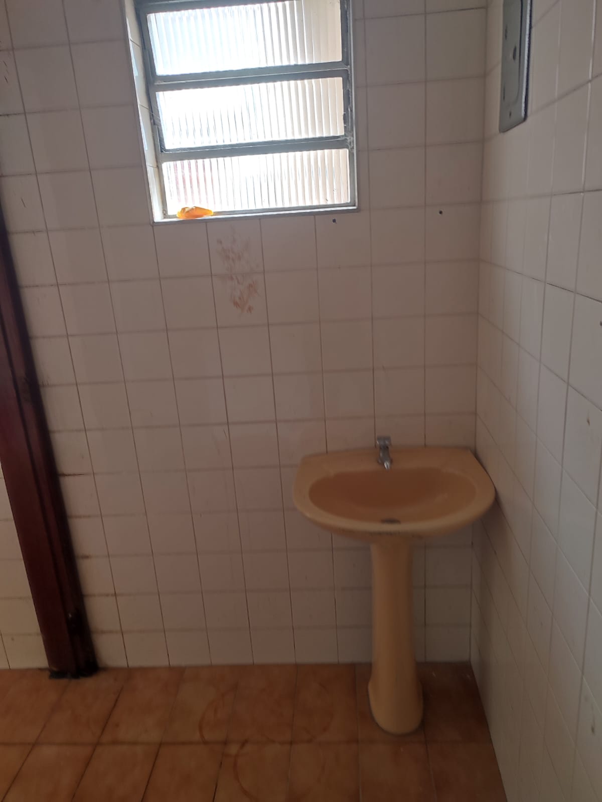 Sobrado Espaçoso em Pirituba: 3 Dorms, Edícula e o Quintal dos Seus Sonhos