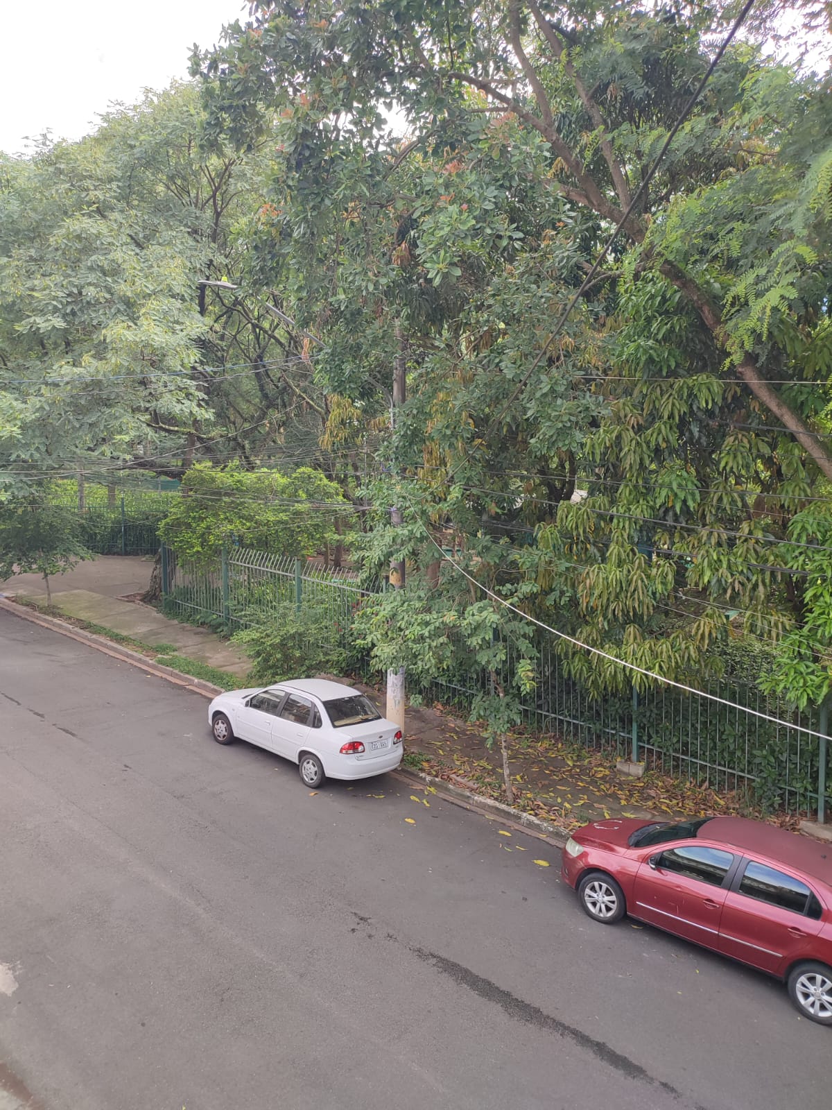 Sobrado Espaçoso em Pirituba: 3 Dorms, Edícula e o Quintal dos Seus Sonhos