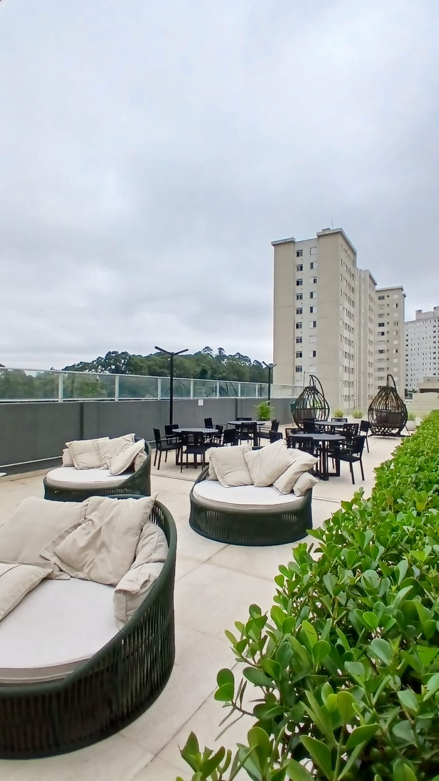 Apartamento - Locação, Jardim Íris, São Paulo, SP