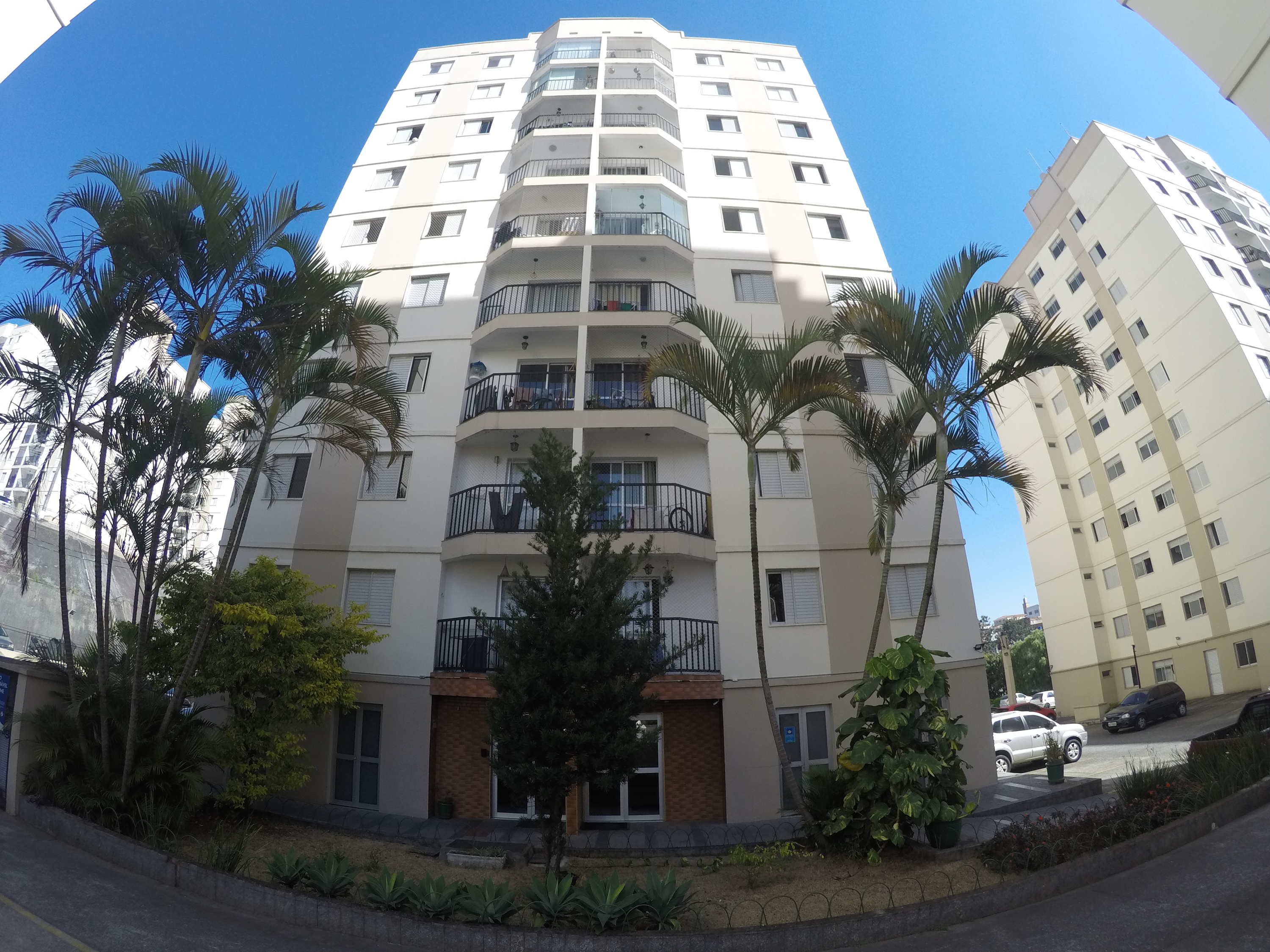 Apartamento - Locação, JARDIM BOTUCATU, São Paulo, SP
