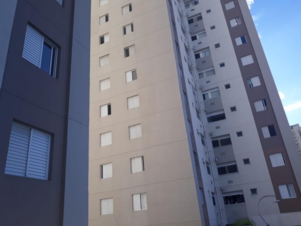Apartamento - Venda, Chácara Cruzeiro do Sul, São Paulo, SP