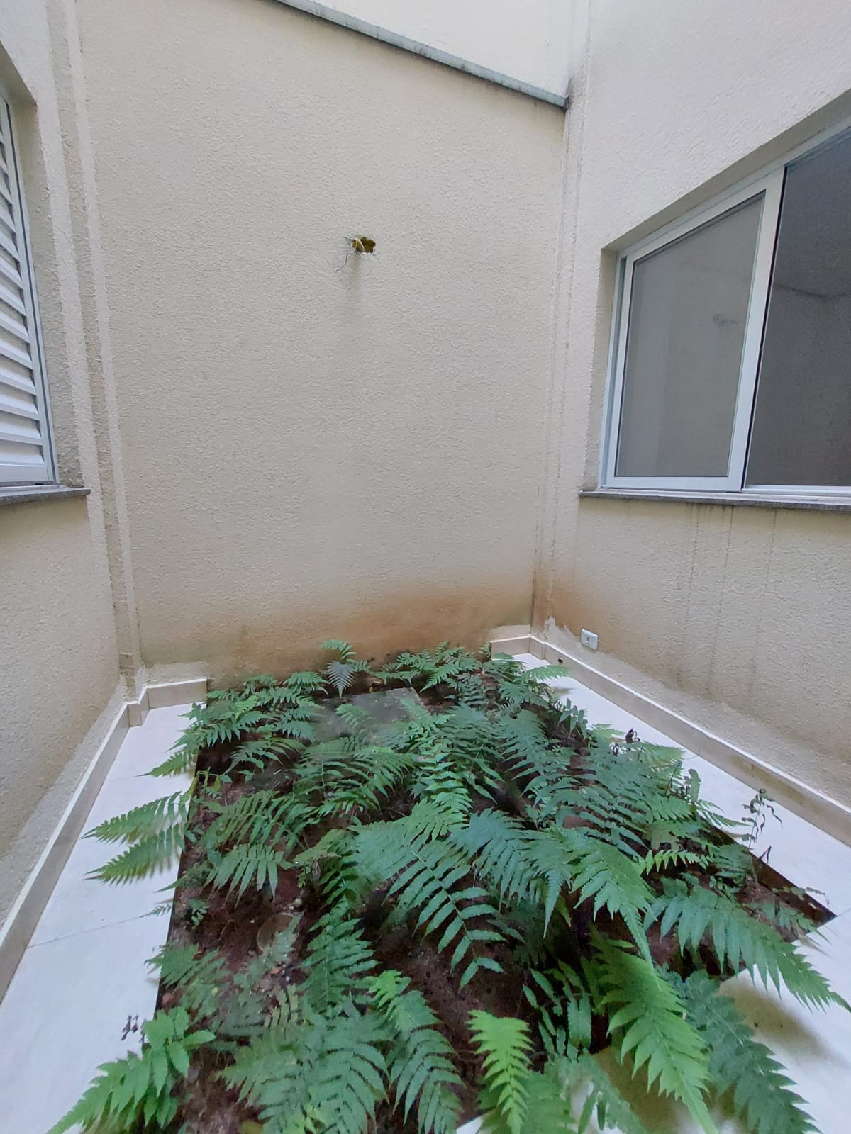 Apartamento NOVO - 1 dormitório - Jardim Santa Adélia - Terminal São Mateus