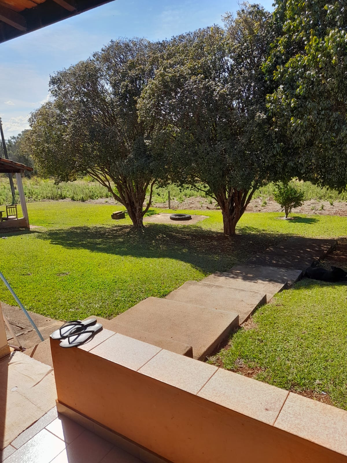 VENDE: SITIO DE 2 ALQUEIRES E 1/2 BATATAIS/SP.