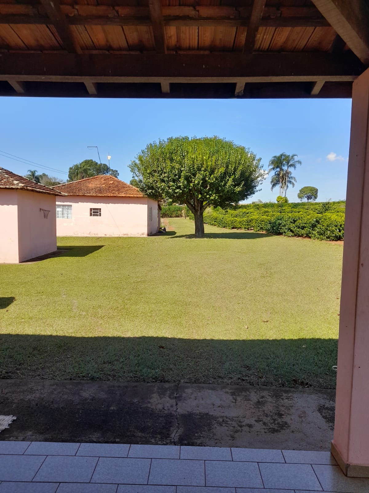 VENDE: SITIO DE 2 ALQUEIRES E 1/2 BATATAIS/SP.