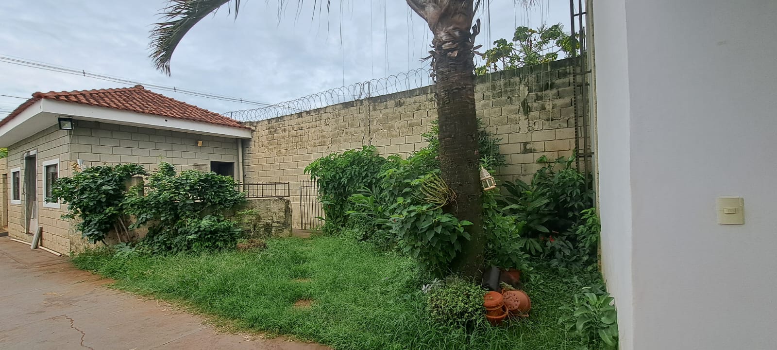 VENDE: CASA NO MONTE ALEGRE - RIBEIRÃO PRETO-SP