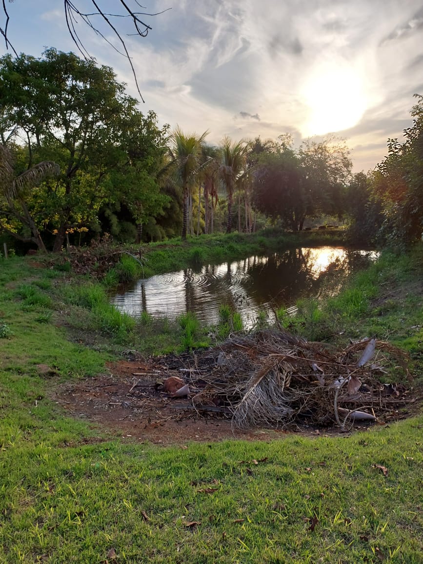 VENDE: SÍTIO DE 2ha EM ITAMOGI-MG