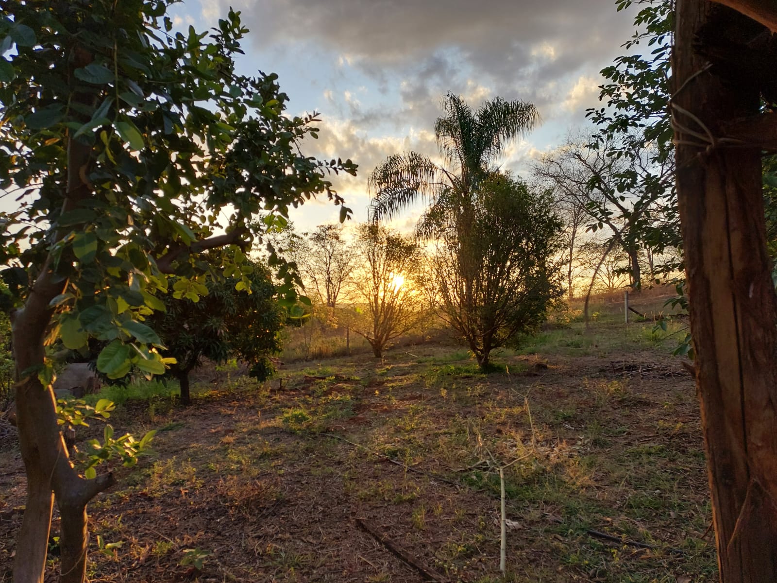 VENDE: SÍTIO DE 2ha EM ITAMOGI-MG