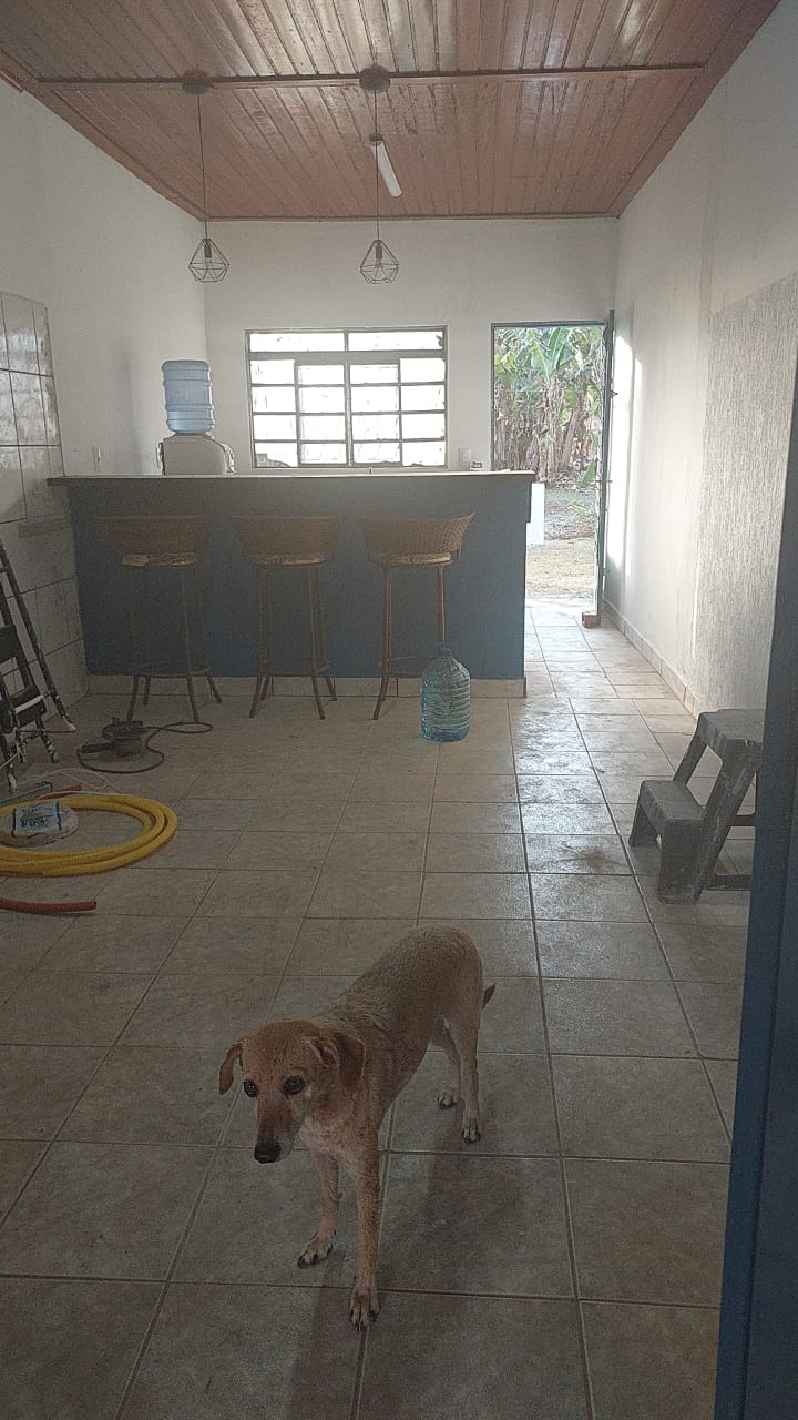 VENDE: SÍTIO DE 2ha EM ITAMOGI-MG