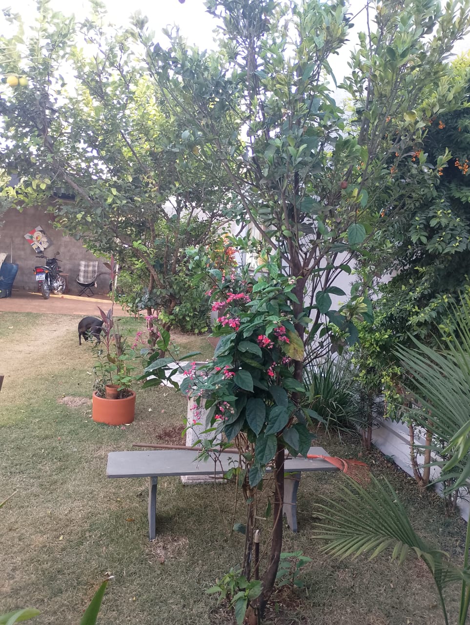 VENDE: TERRENO MURADO -PORTÃO - 01 SUÍTE - CONDOMÍNIO VERONA EM BRODOWSKI-SP