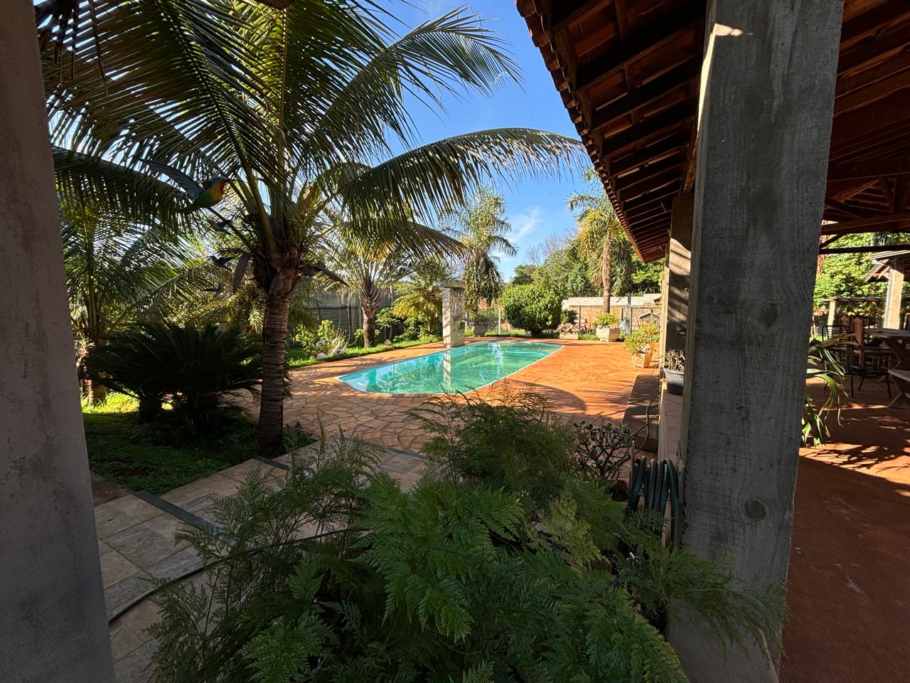 Chácara - Venda, CHÁCARA BELA VISTA, Jardinópolis, SP