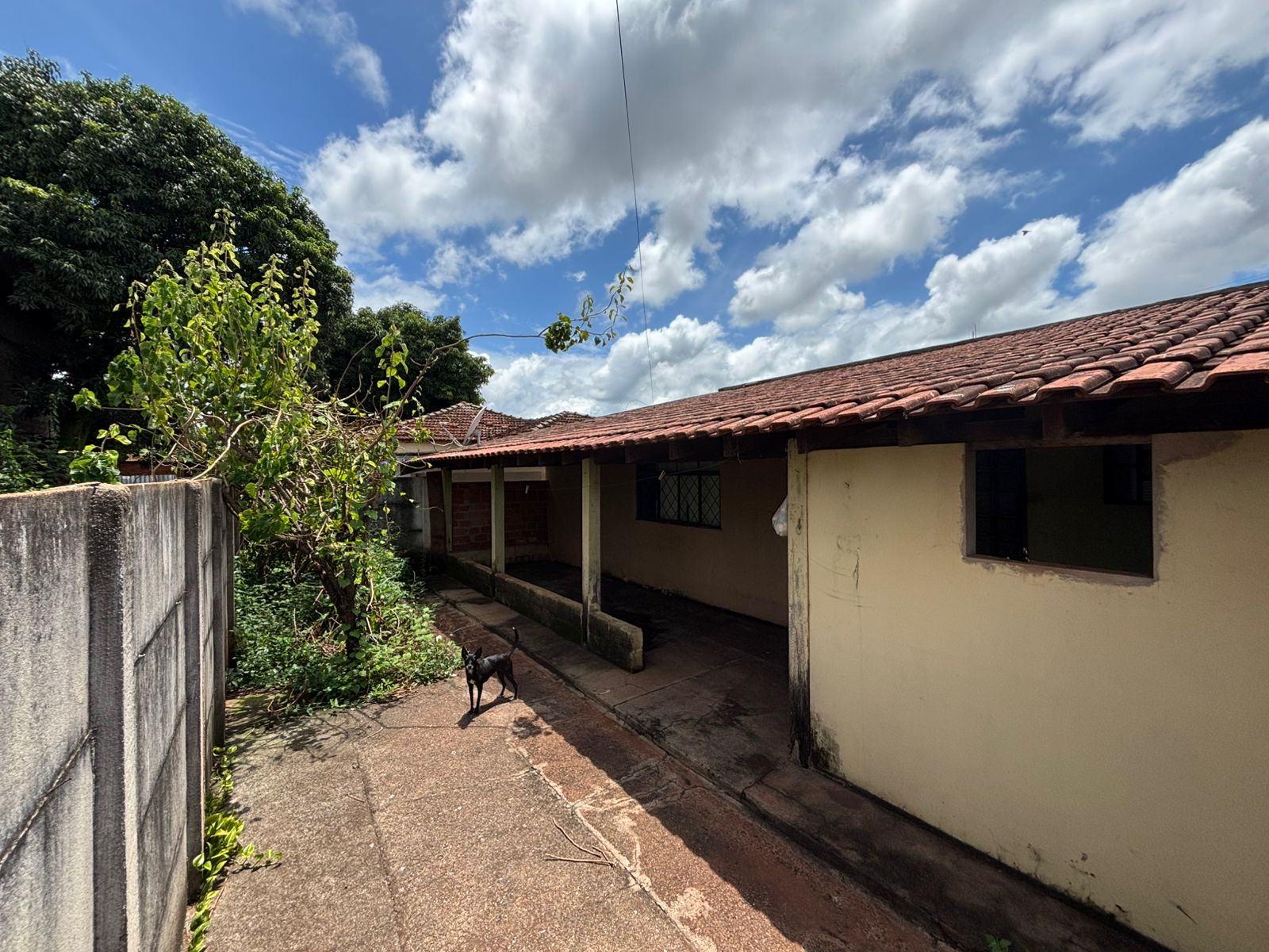 VENDE. TERRENO - ÁREA - 1.500m² - PRÓXIMO A RODOVIA CÂNDIDO PORTINARI - BRODOWSKI-SP.