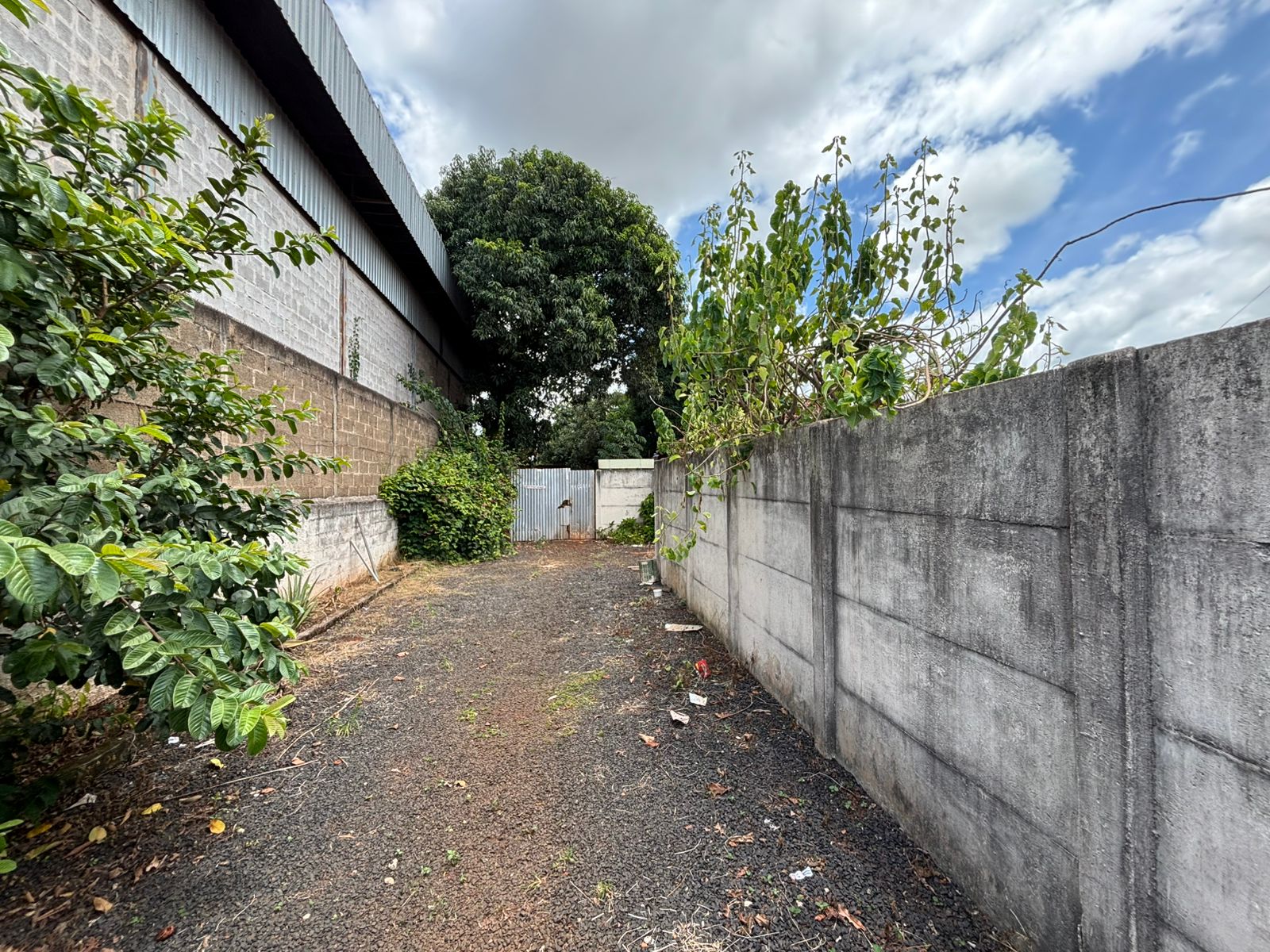 VENDE. TERRENO - ÁREA - 1.500m² - PRÓXIMO A RODOVIA CÂNDIDO PORTINARI - BRODOWSKI-SP.
