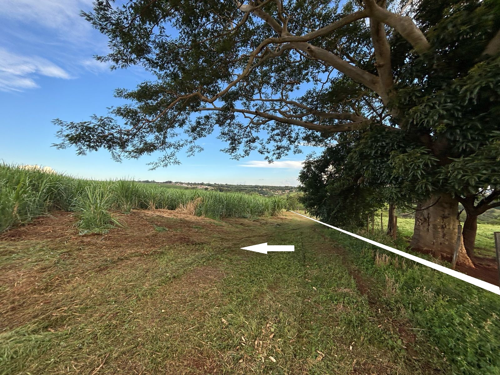 VENDE.: CHÁCARA COM 01 ALQUEIRE - ZONA RURAL - BRODOWSKI-SP