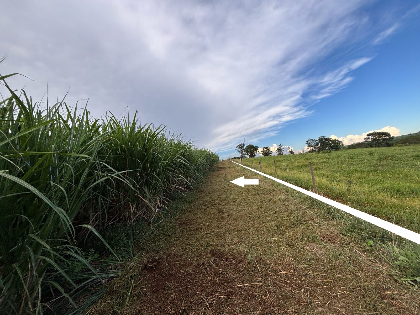 VENDE.: CHÁCARA COM 01 ALQUEIRE - ZONA RURAL - BRODOWSKI-SP