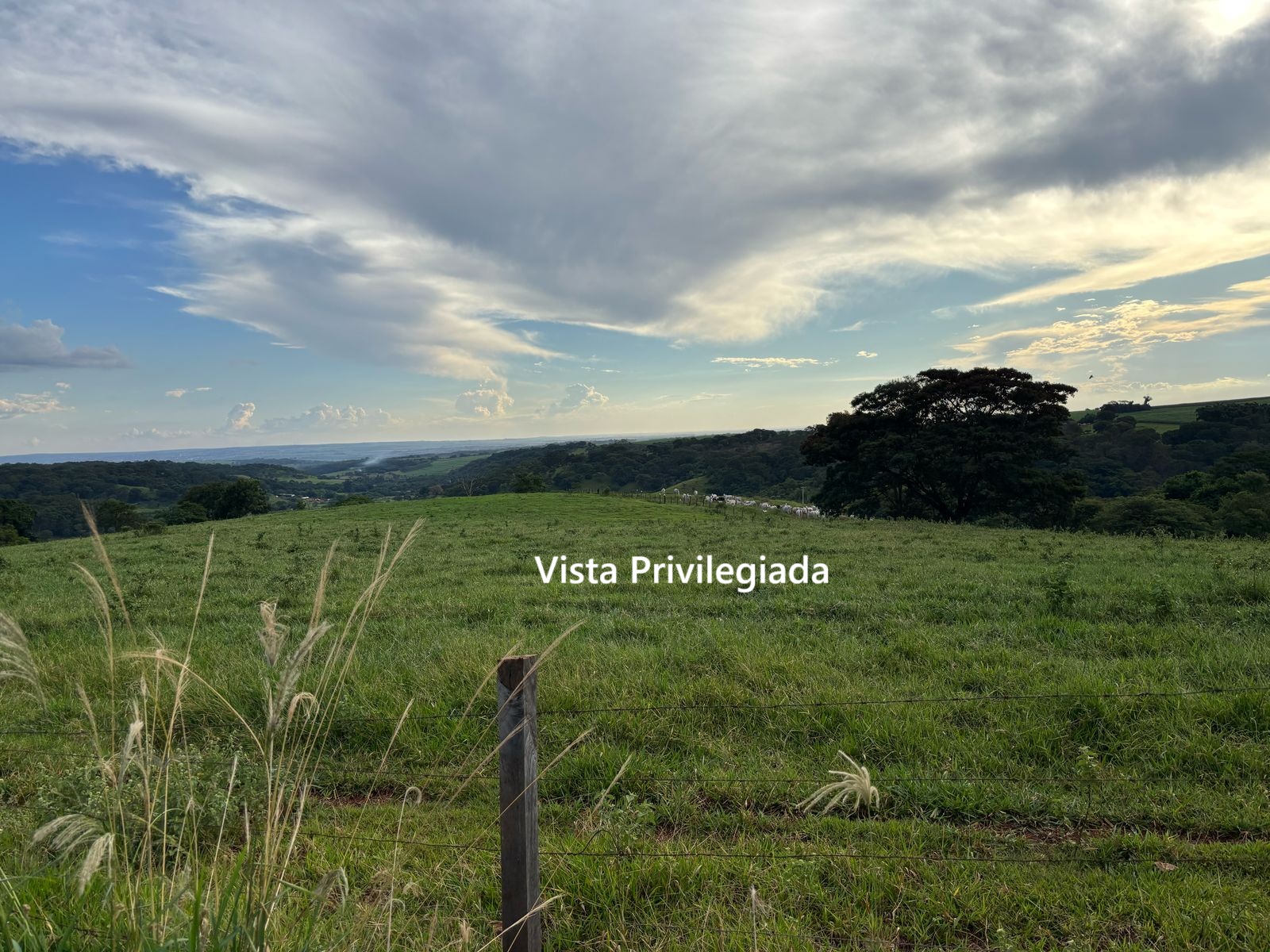 VENDE.: CHÁCARA COM 01 ALQUEIRE - ZONA RURAL - BRODOWSKI-SP
