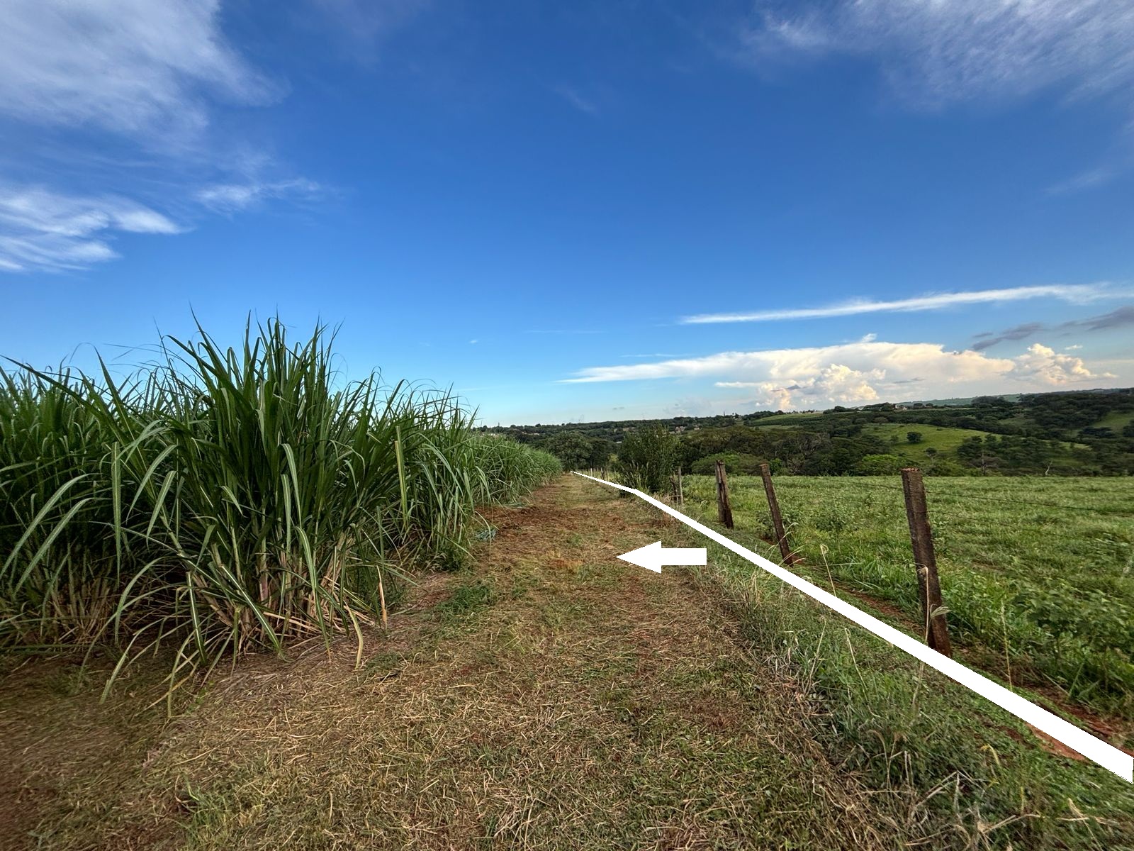 VENDE.: CHÁCARA COM 01 ALQUEIRE - ZONA RURAL - BRODOWSKI-SP