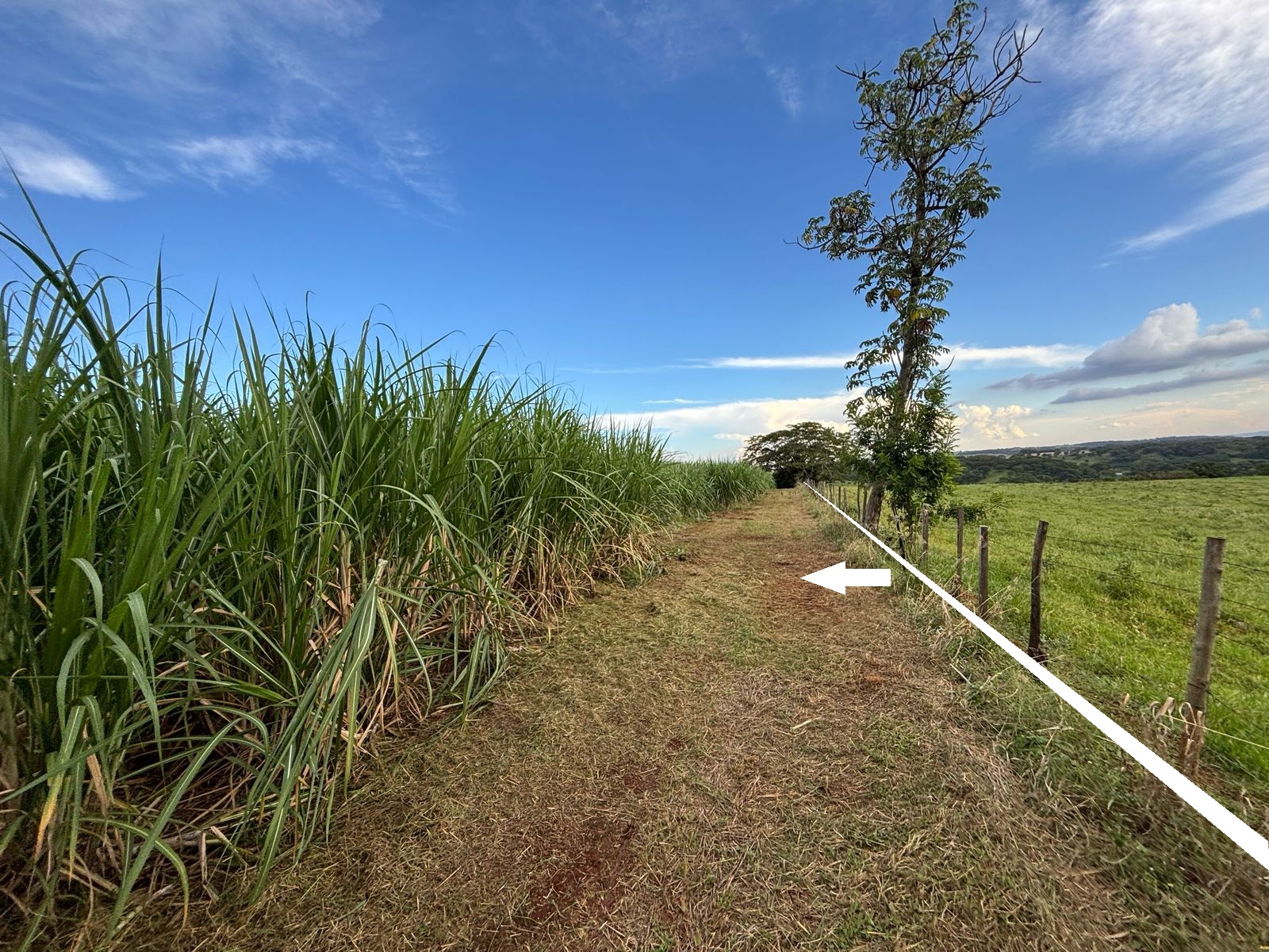 VENDE.: CHÁCARA COM 01 ALQUEIRE - ZONA RURAL - BRODOWSKI-SP