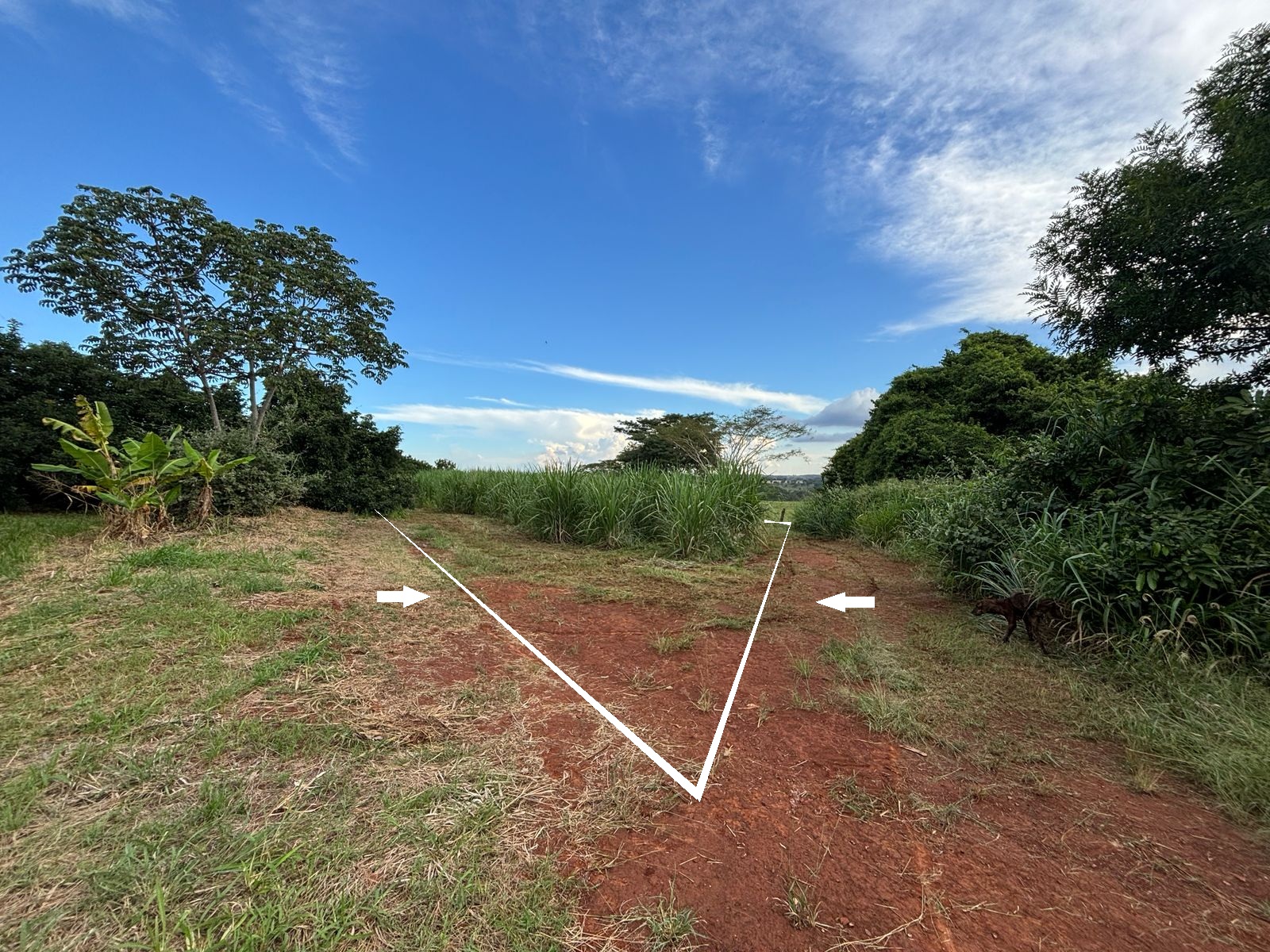 VENDE.: CHÁCARA COM 01 ALQUEIRE - ZONA RURAL - BRODOWSKI-SP