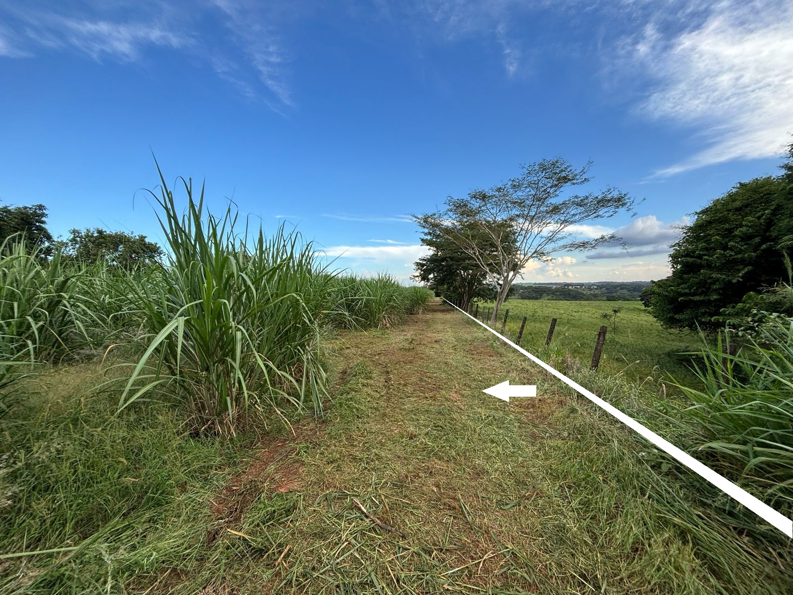 VENDE.: CHÁCARA COM 01 ALQUEIRE - ZONA RURAL - BRODOWSKI-SP