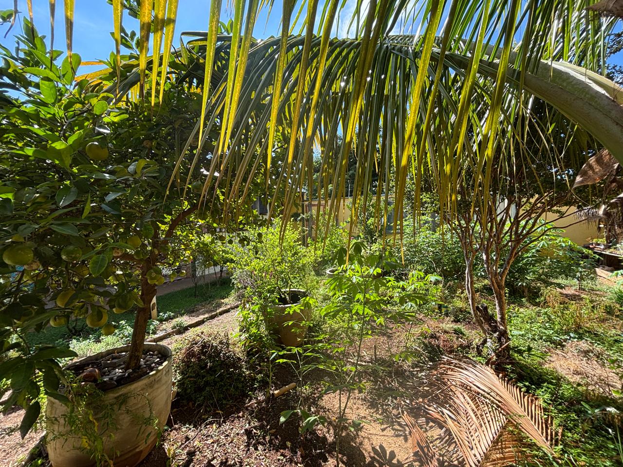 VENDE: LINDA RESIDENCIA COM 03 DORMITÓRIOS - JARDIM MARIA IMACUALADA II EM BRODOWSKI-SP