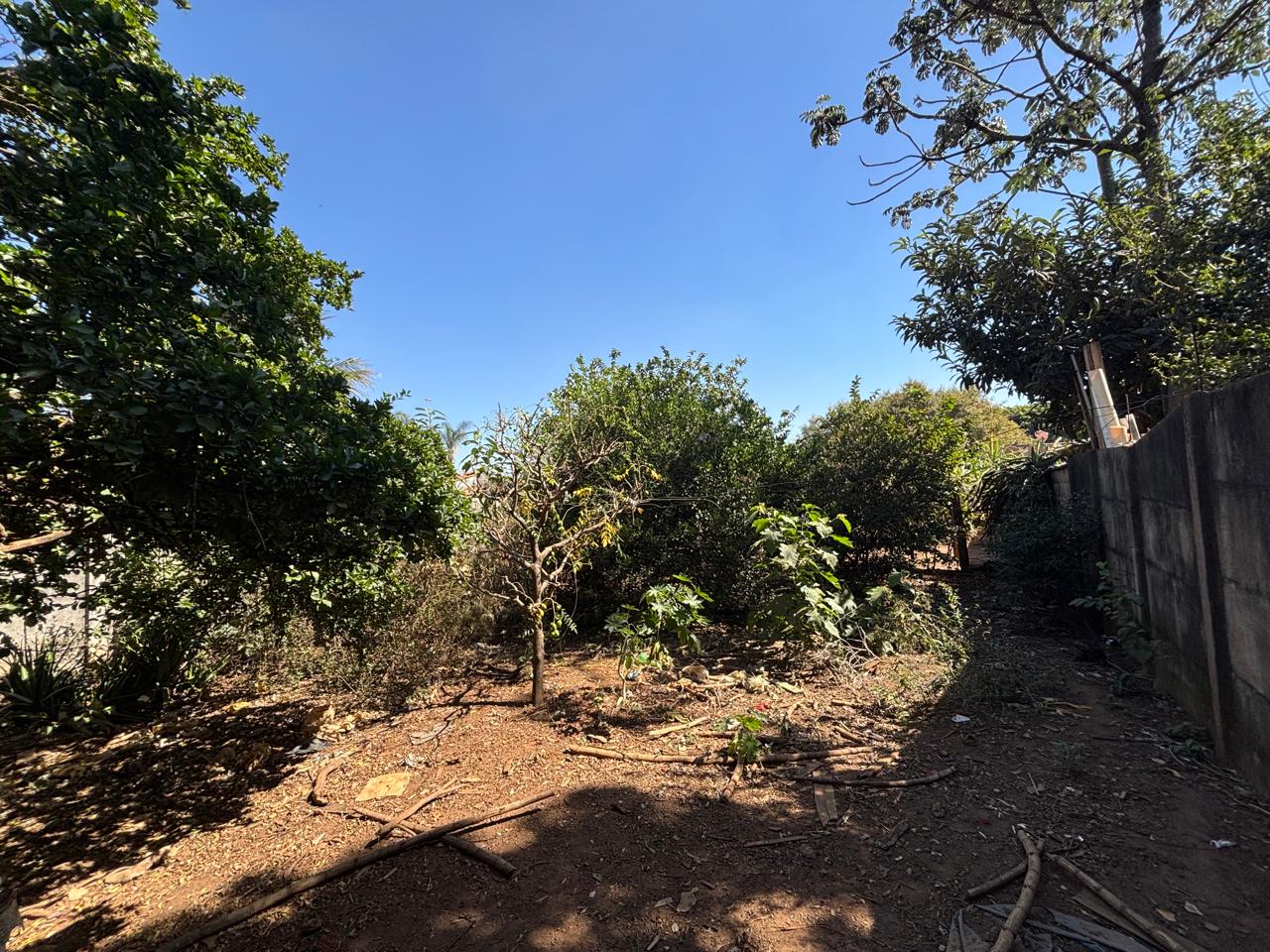 VENDE: CASA NO CENTRO