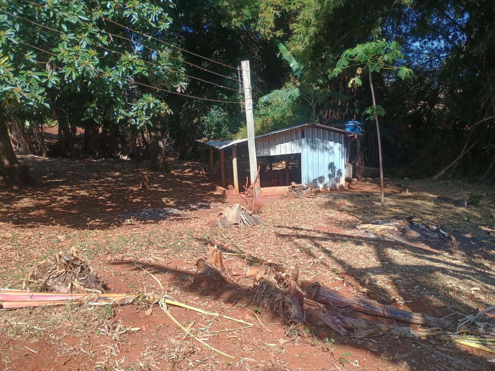 VENDE: SITIO DE 11 HECTARES  e 700  - 7 KM DO CENTRO DE BRODOWSKI-SP.