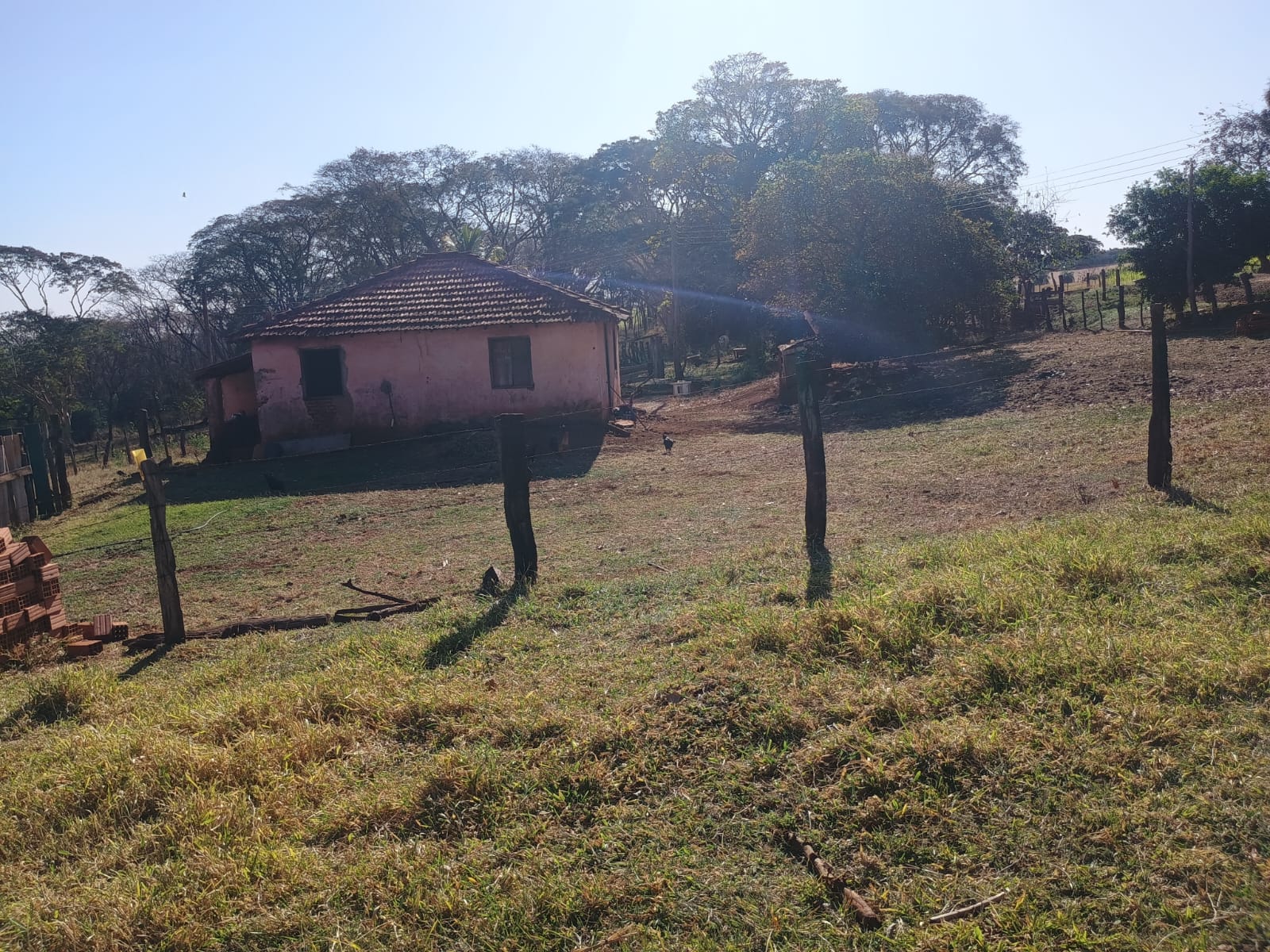 VENDE: SITIO DE 11 HECTARES  e 700  - 7 KM DO CENTRO DE BRODOWSKI-SP.